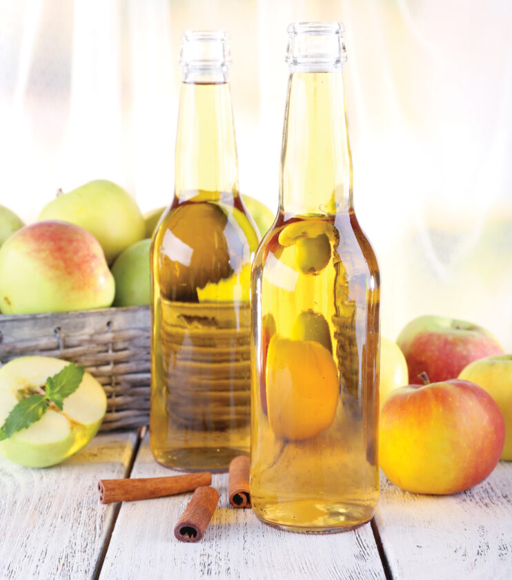 How to Make Hard Apple Cider Mother Earth Gardener